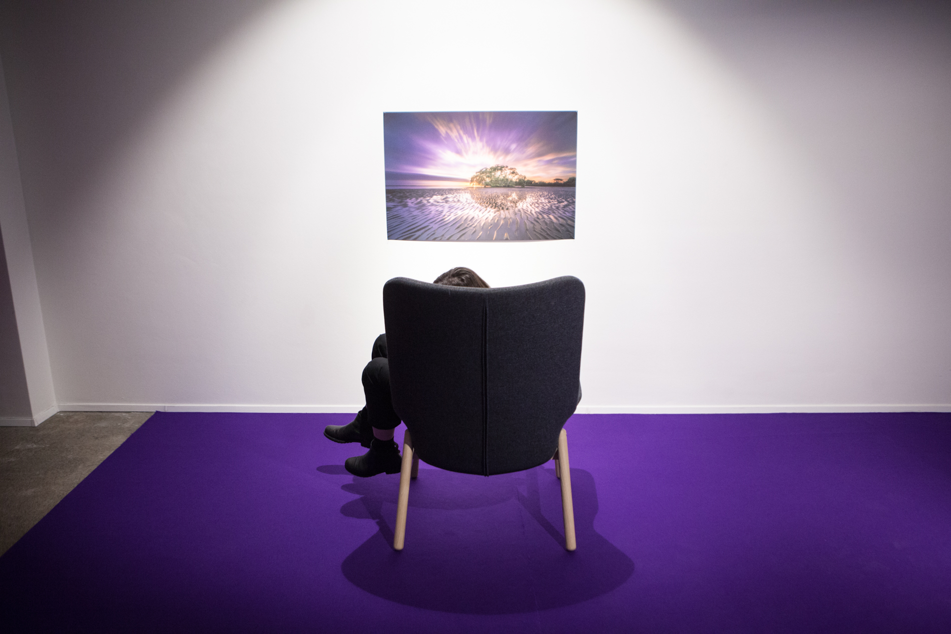 Tereza Fišerová – Studio Violet